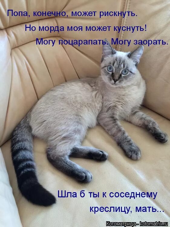 Пиво это конечно круто но я хотел бы попробовать на вкус твои губы. Я бы хотел попробовать твои губы на вкус. Проснулись потянулись улыбнулись. Поп конечно. Кукуруза воздушная острая.