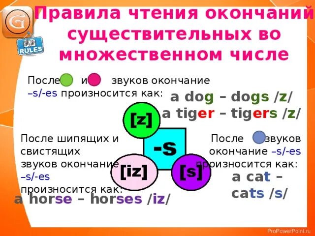 Добавить окончание множественного числа. Чтение окончания множественного числа. правила чтения множественного числа в английском. окончания множественного числа в английском языке.