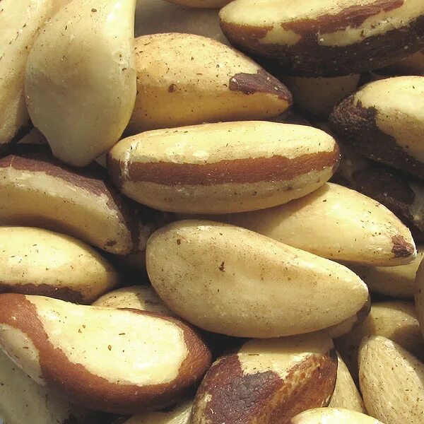 бразильский орех 1 кг. Bertholletia excelsa "бразильские орехи". орех пекан. миндаль арахис кешью фундук. бразильский орех пекан.