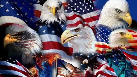 Usa power