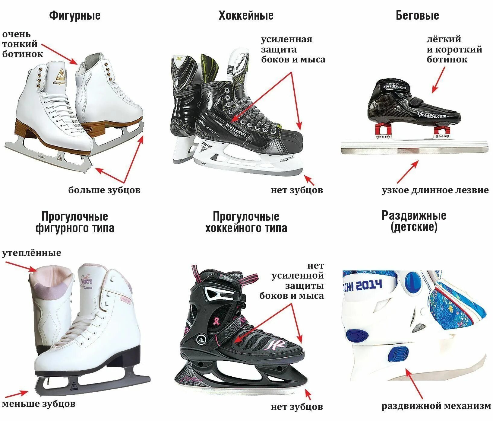 Коньки прогулочные хоккейного типа Bauer. Коньки фигурные и хоккейные разница. Коньки для женского хоккея. Отличие фигурных коньков от хоккейных.