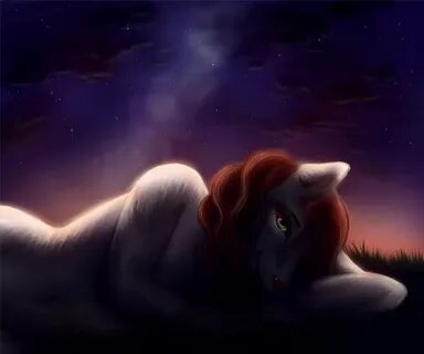Space paws