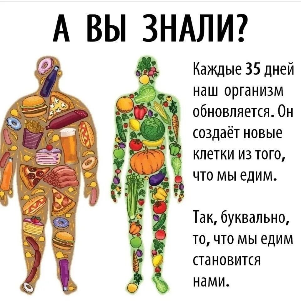 Что мы едим на самом. Что мы едим на самом. Правильное и неправильное питание. Здоровое питание подростков. Что мы едим на самом.