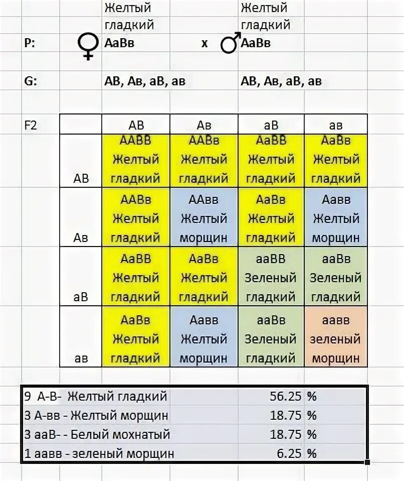 Известно что у гороха гладкая поверхность