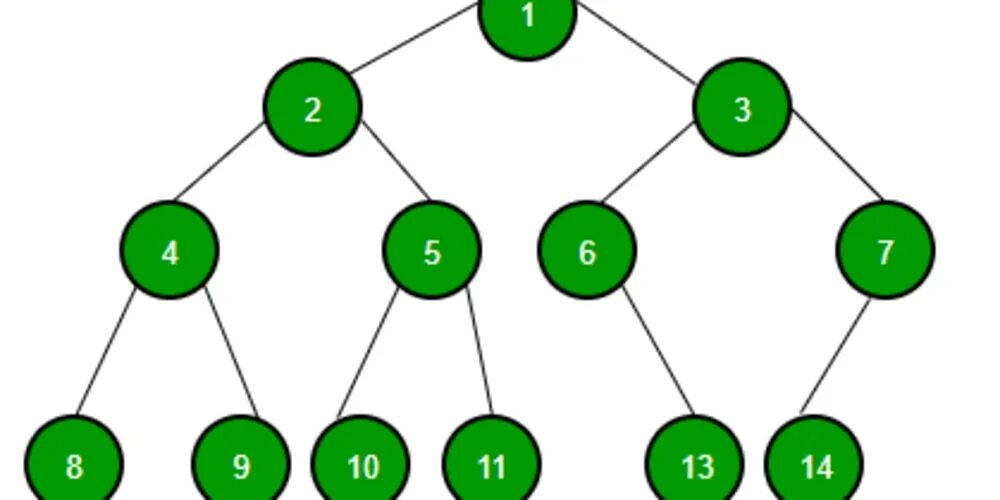 Splay дерево структура узла. C# дерево структура данных. Бинарное дерево индексов. Структура дерево c. Структура дерево c.