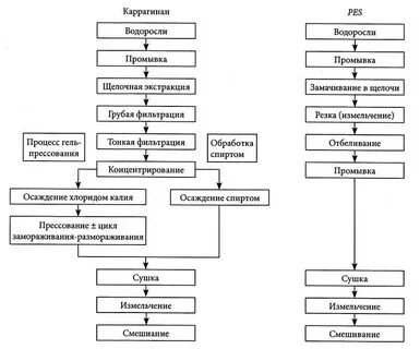 Продолжите технологическую