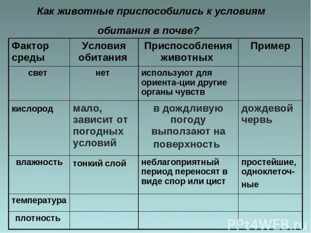 Черви черты приспособленности к среде. Как животные приспособились к условиям обитания в почве. Приспособления дождевого червя к обитанию в почве. Условия среды обитания червя. Какие приспособления у дождевого червя