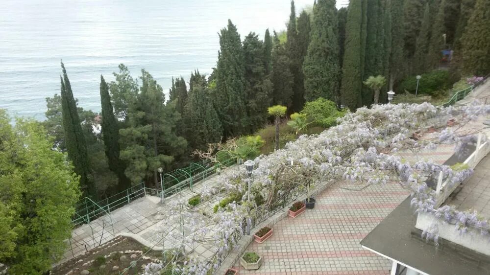 Профессорский уголок алушта. Алушта профессорский уголок набережная. Алушта профессорский уголок феодора. Укоопспилка-профессорский уголок. Укоопспилка-профессорский уголок.