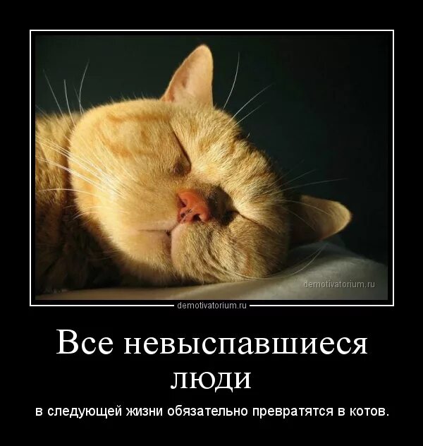 Группа 3 дня отпуска. Группа 3 дня отпуска
