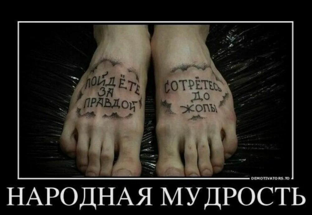 По моим стопам пошла. По моим стопам пошла. Пошел отсюда мем. С др на пятке. Анекдоты про профессии.