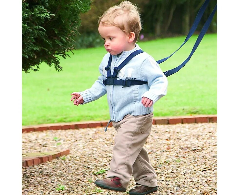 поводок для ребенка для ходьбы. вожжи поводок для ребенка. шлейка для детей. шлейка для детей. поводок для ребенка детский.