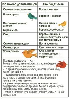 Какие птицы дают мясо
