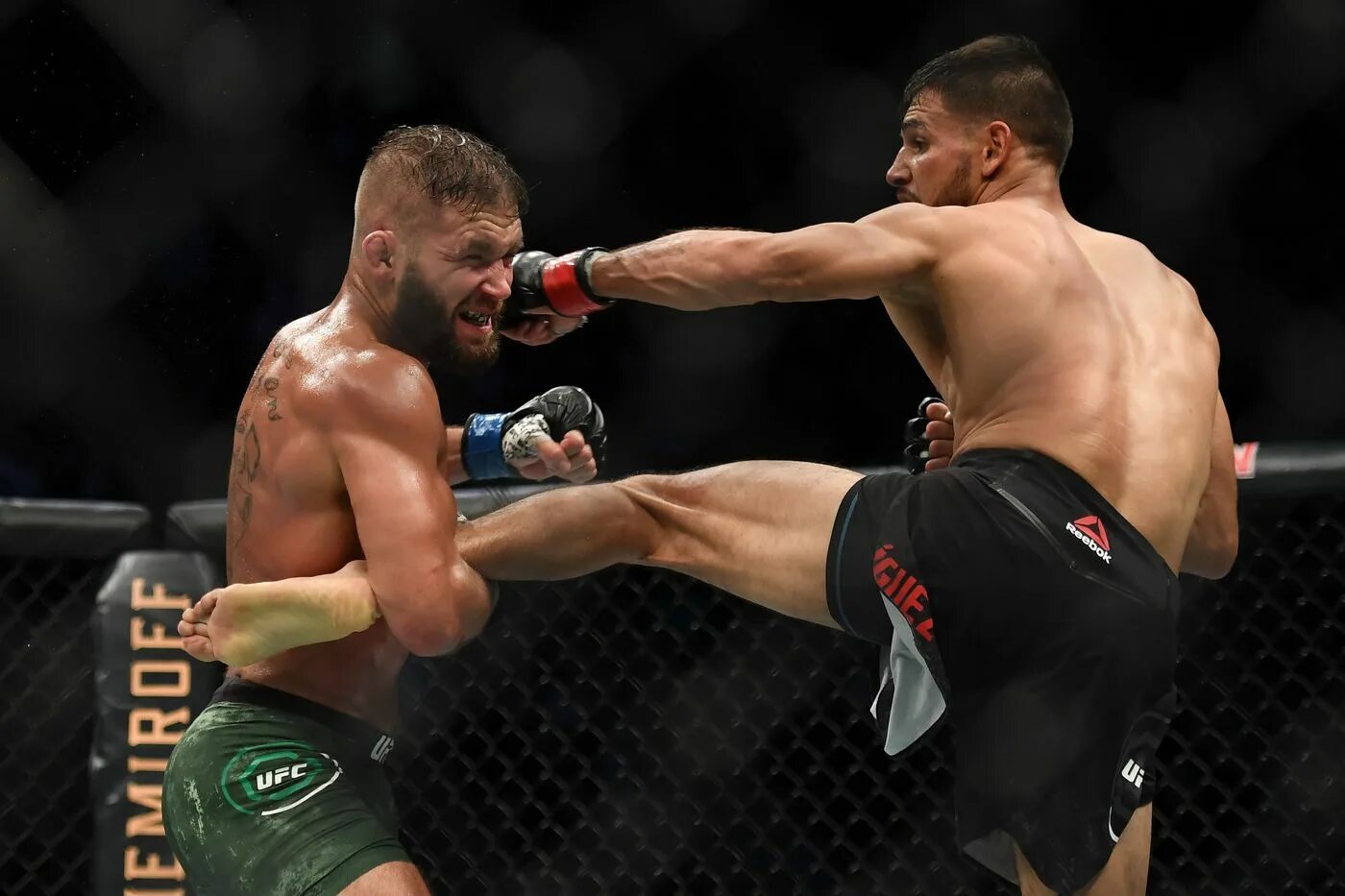 Ufc gaziev. Юфс Стивенс. Yair Rodriguez UFC.