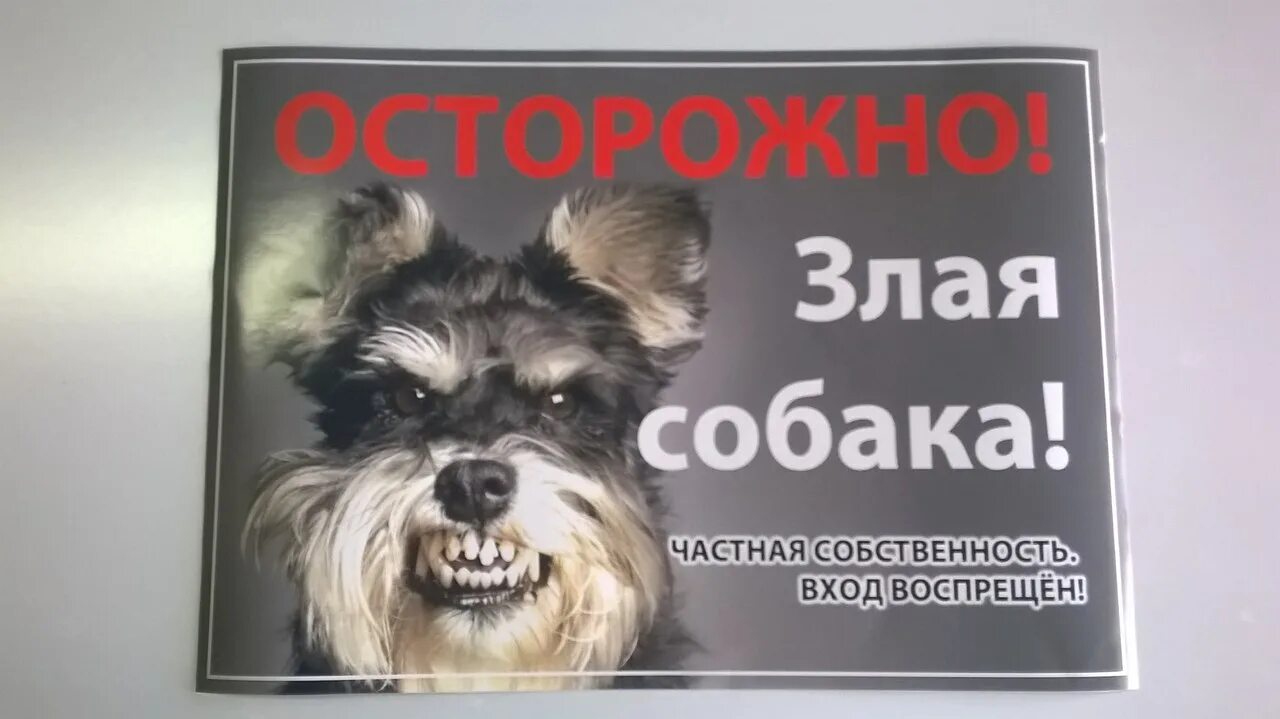 Злая собака предложение. Табличка на ворота цвергшнауцер. осторожно злая собака выжигателем. рисунок злой и доброй собаки. наклейка собак цвергшнауцеров.
