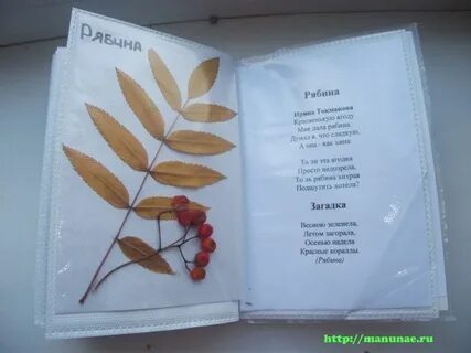 Альбом листьев