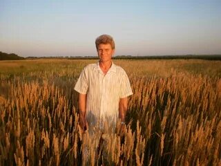 александр наталенко новатэк
