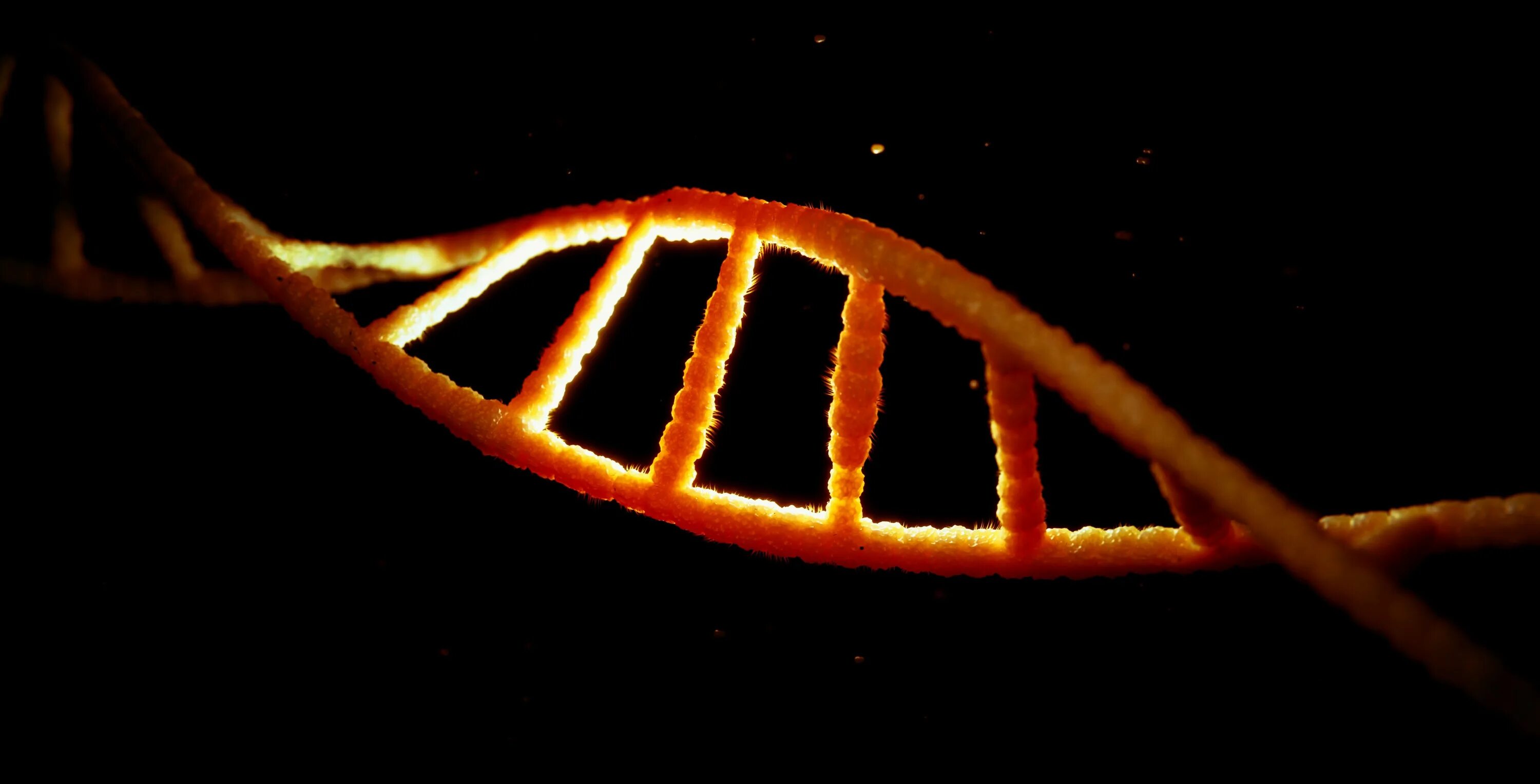 DNA 3d. ДНК 3д. ДНК 3d модель. ДНК В блендер.