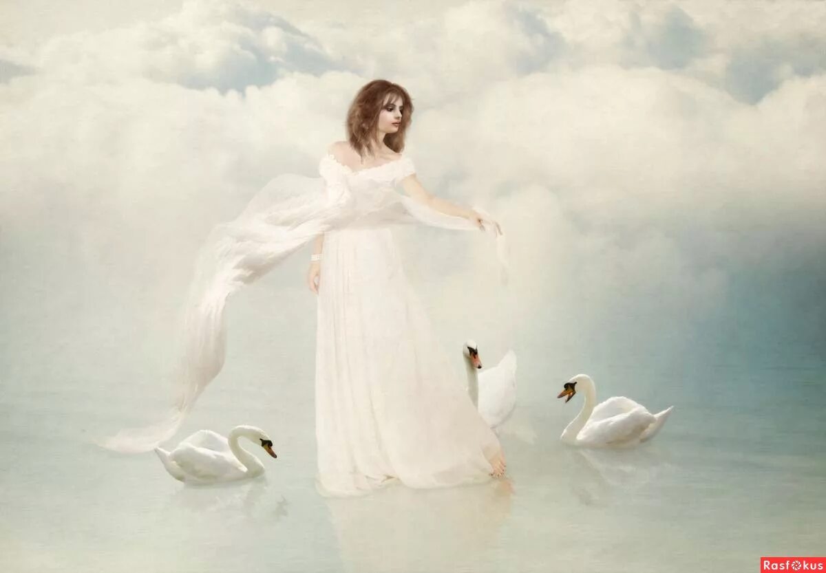 Белая птица новое чудо сюжет. Девушка лебедь. Девушка Лебедушка. Белая лебедь женщина. Девушка лебедь картина.