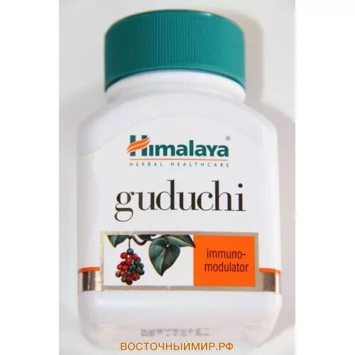 Гудучи сайт. Himalaya Wellness Guduchi / Хималая Гудучи 60таб. [A+]. Амрут Гудучи 60 таб (500мг) Шри Шри Amruth 60tab Sri Sri Ayurveda. Гилой Гудучи чурна Сангам. АМРУТХ Амрут Гудучи Шри Шри.