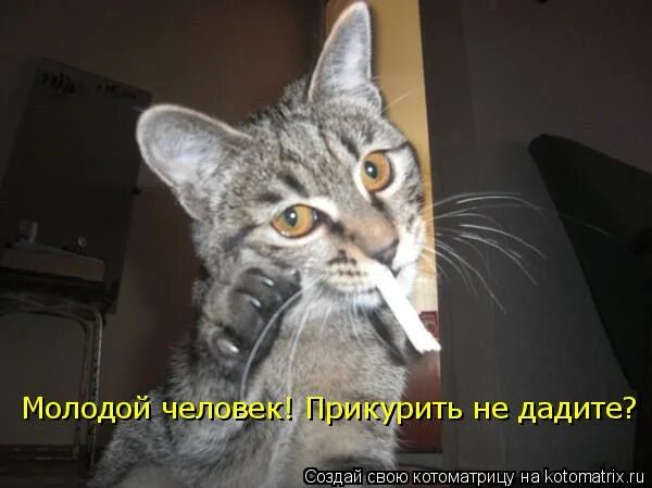 Дать прикурить значение. Дать прикурить значение