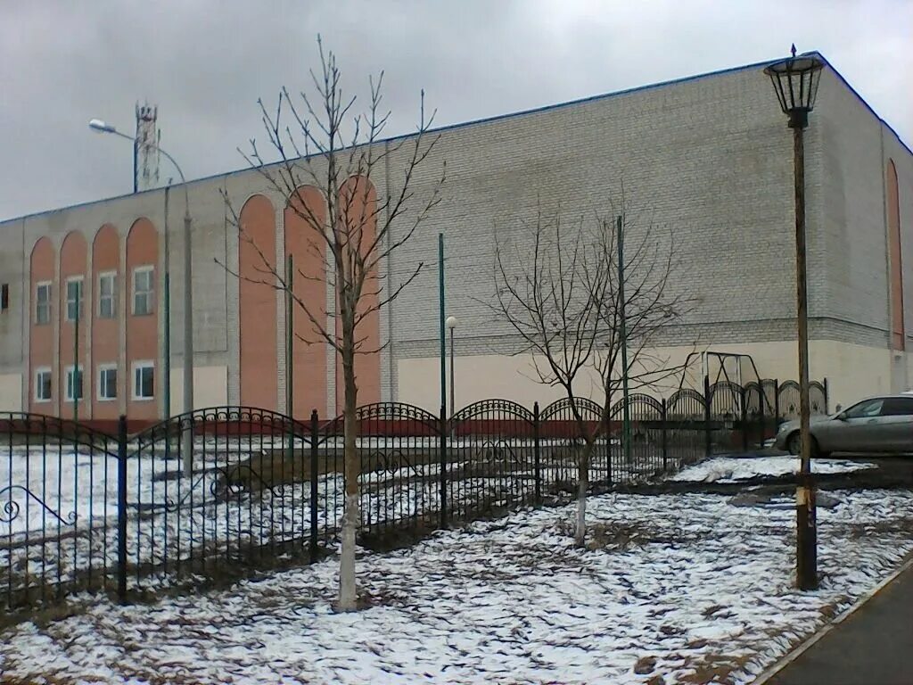 лицей пушкина брянск. лицей имени пушкина брянск. брянский городской лицей 1 имени а. лицей брянский пушкина. лицей брянский пушкина.