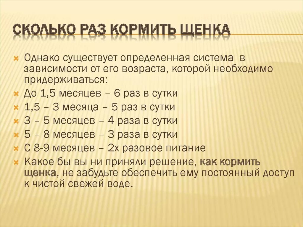 Сколько раз кормить двухмесячного