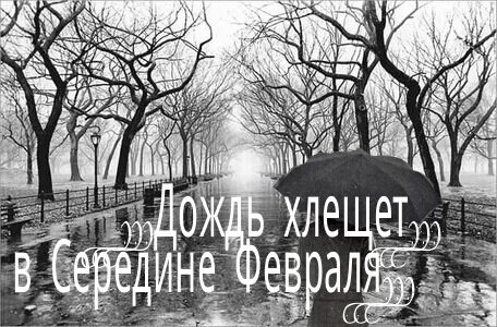 Хлещущий дождь