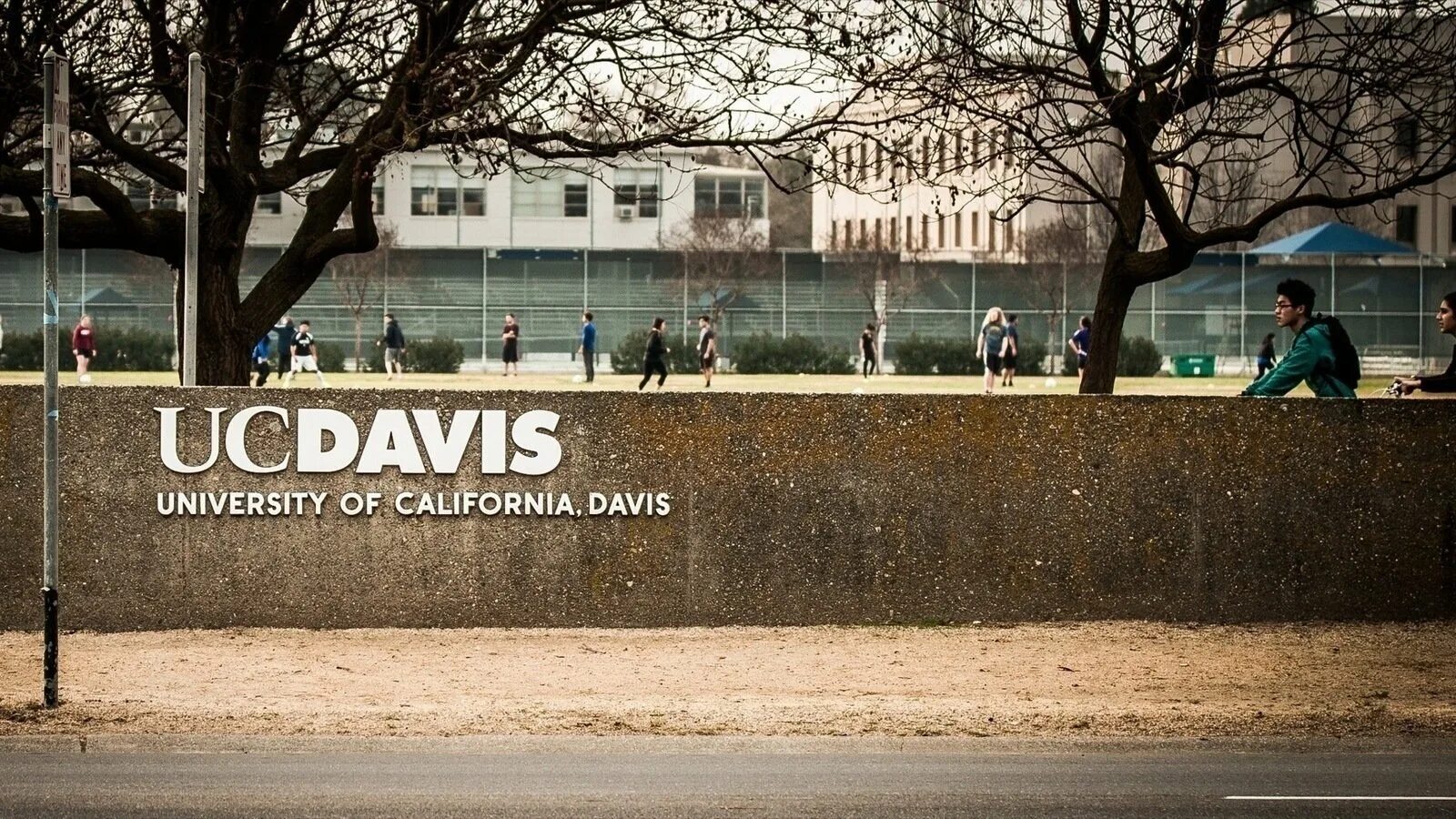 Across the university