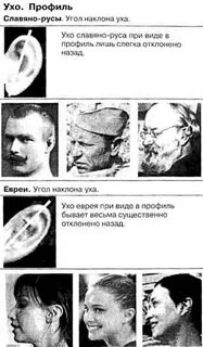 Уши евреев