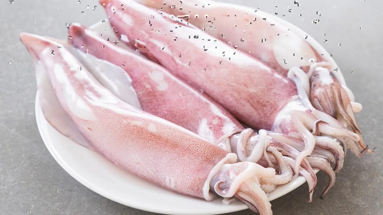 Как выглядит свежий кальмар Брюхоногие моллюски описание продукта, как выбирать, как готовить, читайте на