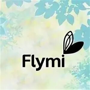 Флай ми