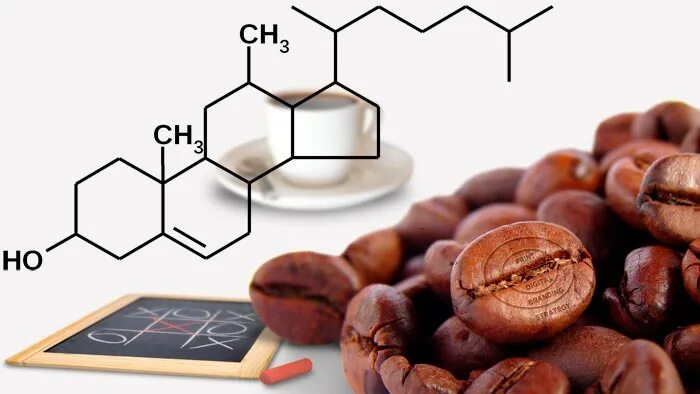 Влияние кофеина. Кофеин в организме человека. Влияние кофеина на организм человека. Кофе и холестерин.