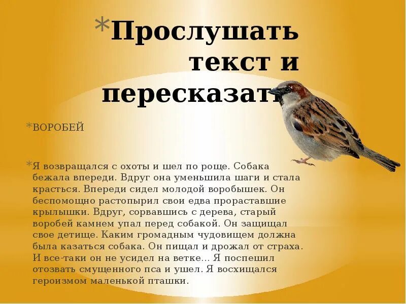 Воробышек. Текст про воробья. Воробушек или воробышек как правильно. Воробушки правописание. Основная мысль текста я возвращался с охоты