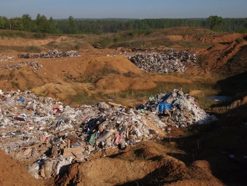 Бывший полигон тбо. Бывший полигон тбо. Полигон тбо манушкино. Мусорный полигон саларьево. Старая свалка.