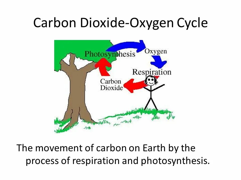 Use carbon dioxide. Oxygen Carbon dioxide. Кислород в карбоне. Avoid Carbon dioxide. The process of Plant respiration.