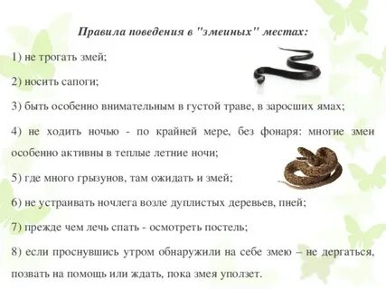 К чему снится змея женщине замужней