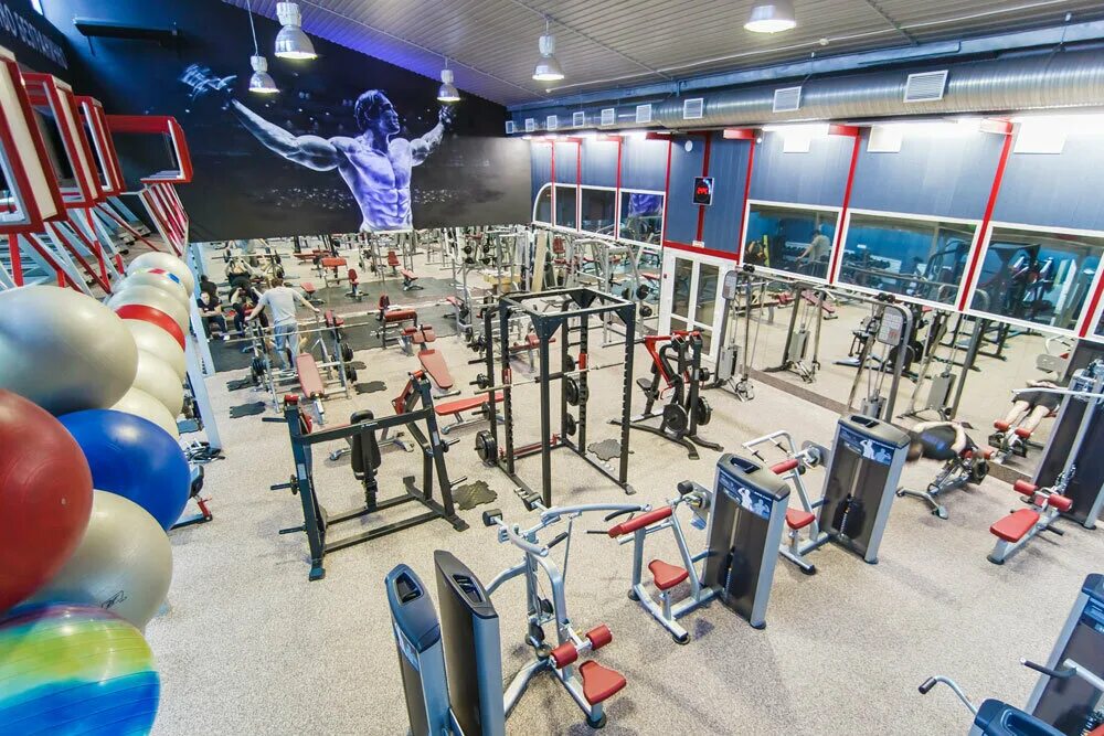 спорт зал ростов. World class ростов герасименко. спортзал на северном ростов на дону. пересвет арена ростов на дону. фитнес зал ростов на дону.