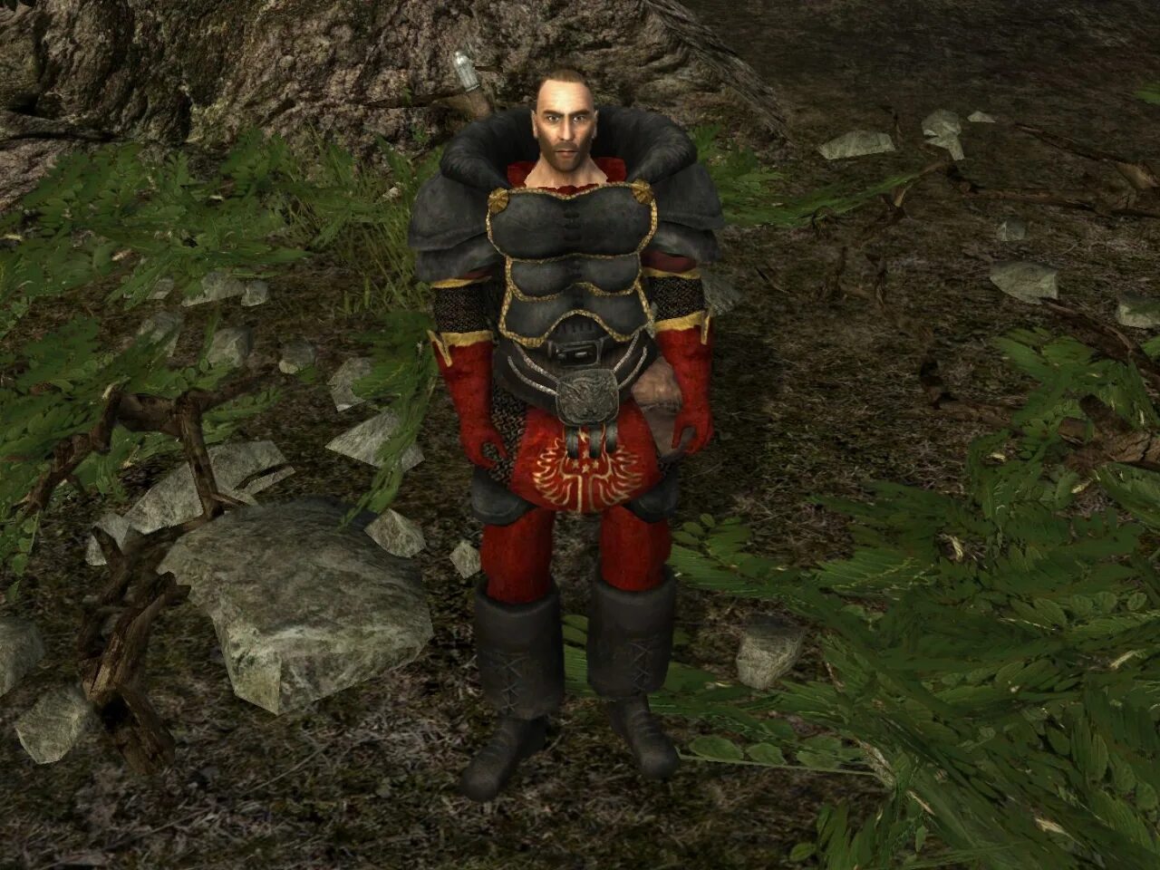 готика 2 возвращение темно. готика 2 возвращение темно. готика 2 возвращение темно. готика 2 новый баланс темный рыцарь. мясной жук готика 2.