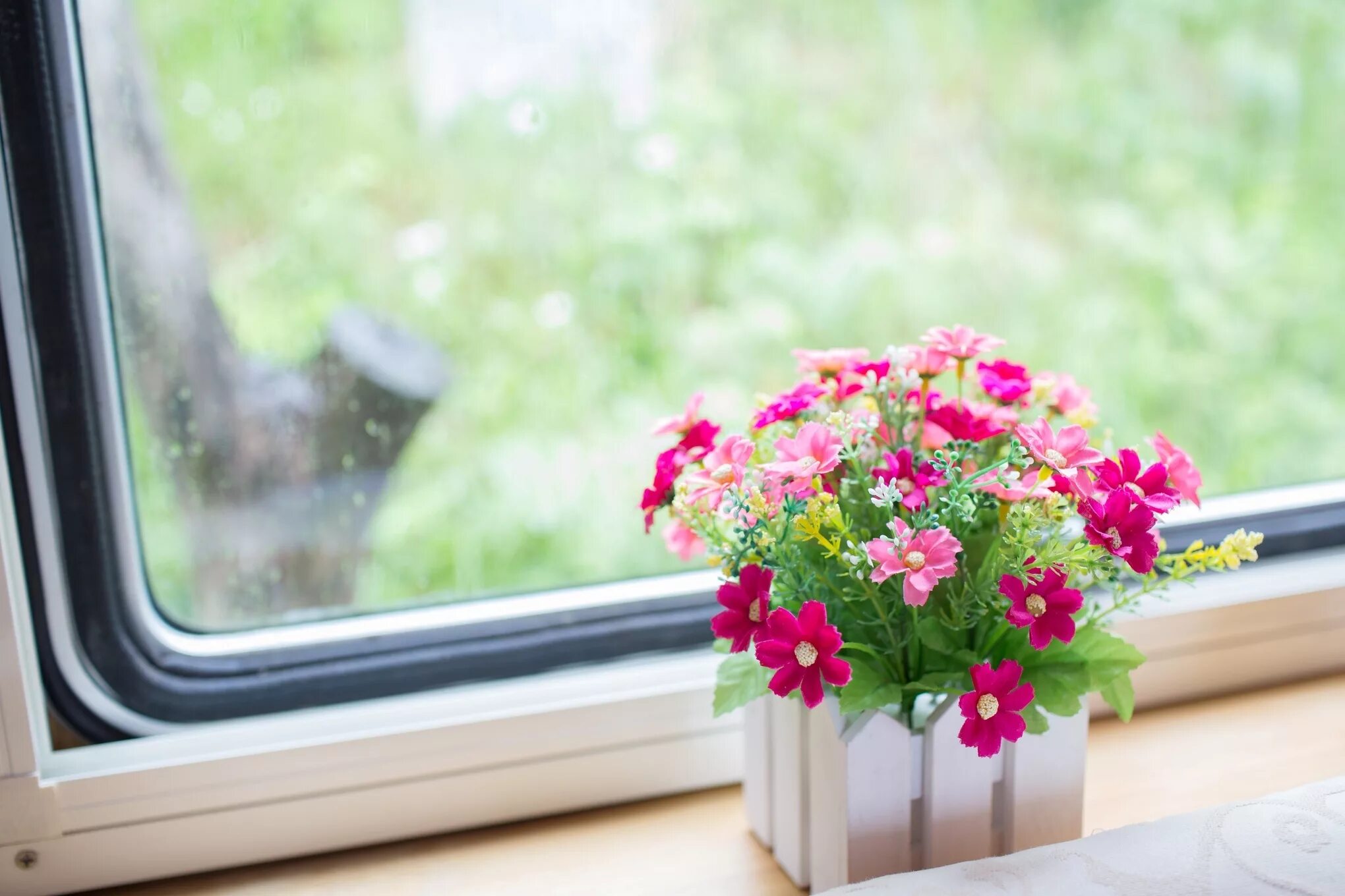 Indoor flowers. Цветы на подоконнике. Подоконник с цветами. Цветок в горшке на окне. Красивый подоконник с цветами.