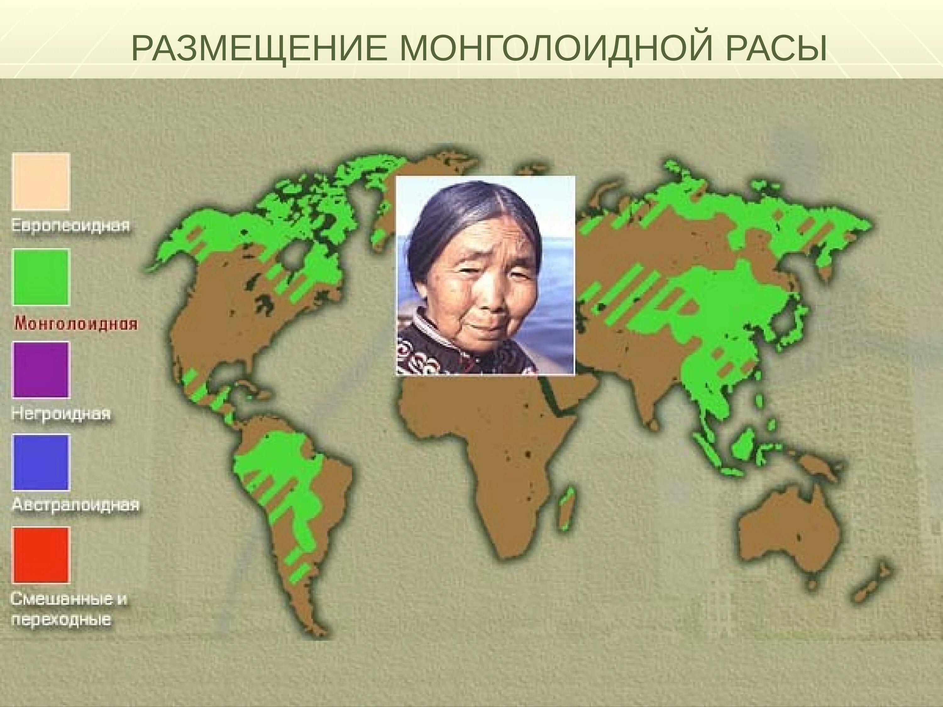 Ареал обитания монголоидной расы. Первоначальный ареал монголоидной расы. Ареалмонголоилной расв. Размещение монголоидной расы.