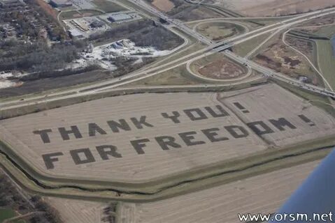 This field is