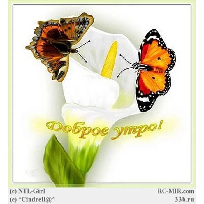 Pin by Pinner on ДОБРОЕ УТРО ! Привет !☕ ☕ Good morning gif, Good morning, Poca