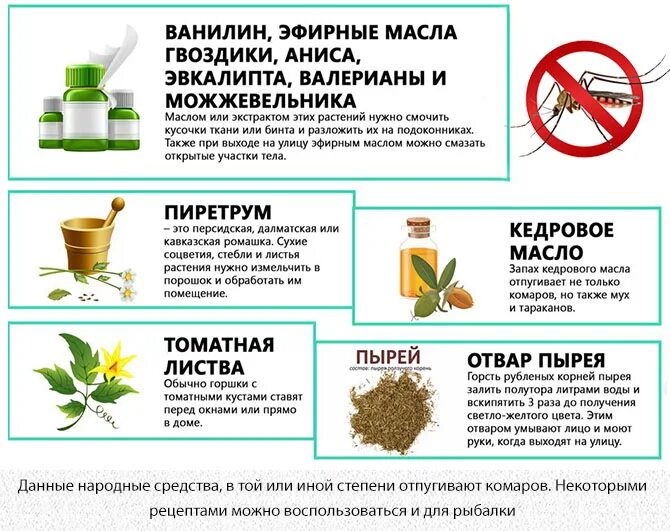 От мошки народные. От мошки народные. Способы борьбы с мошками. Ваниль от мошек. Народные средства от насекомых.