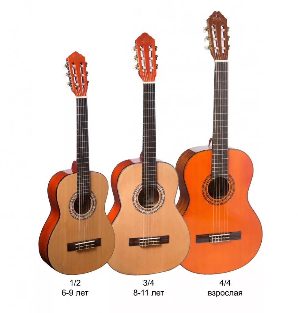 Гитара 3/4. Размер классической гитары 4/4. Гитара классическая Chard es-3990s. Размеры гитары акустической 7/8.