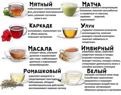 Сколько часов чай
