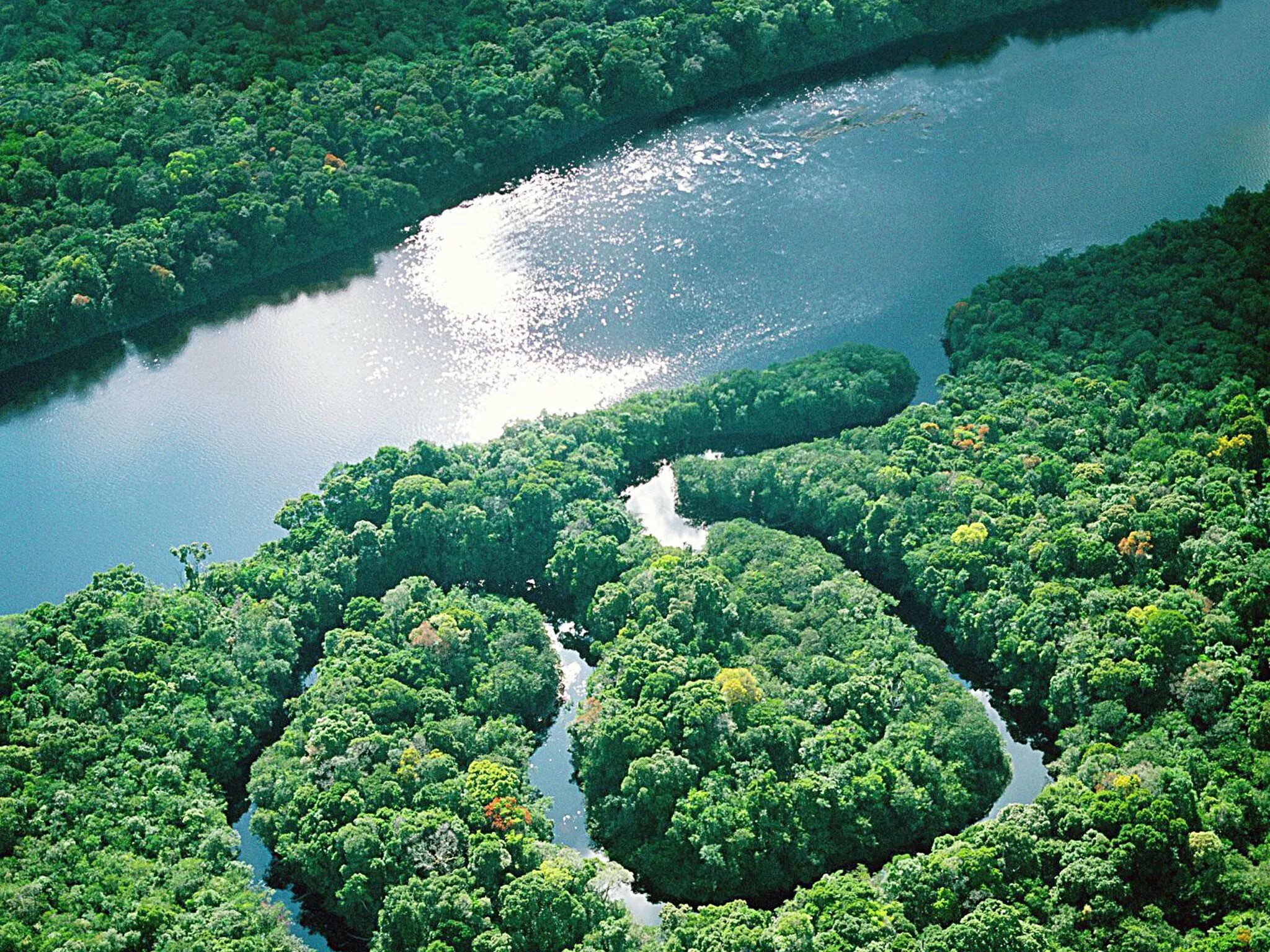 Бразилия Амазонская низменность. Амазонская Сельва Бразилии. Река Амазонка в Бразилии. Южная Америка река Укаяли.