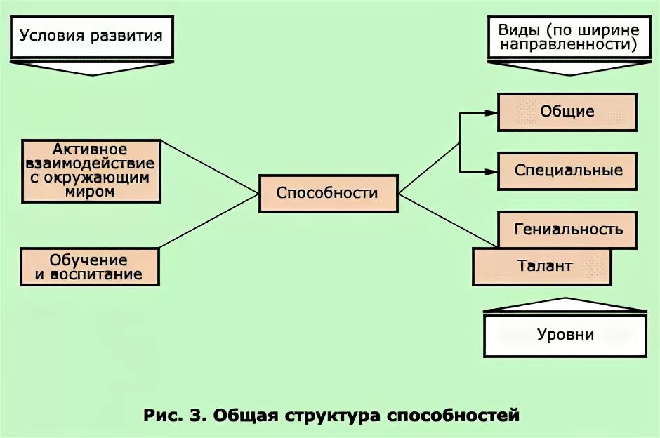 Общая структура способностей. Схема структуры способностей. Общая структура способностей схема. Структура способностей в психологии схема. Можно выделить способности