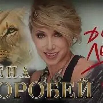 Дикая львица mp3