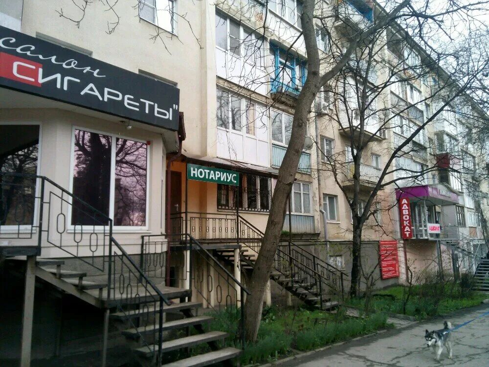 барышников николай вас. нотариус барышников д. барышников сергей александрович воронеж. барышников пятигорск. барышников николай васильевич пгу.