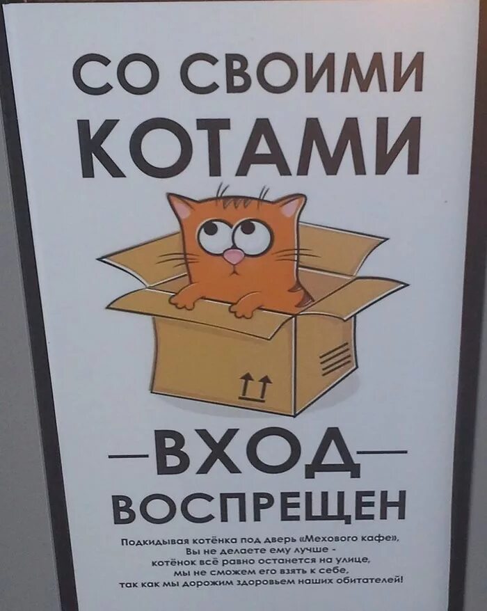 Кот не заходит в бар. Запрет кошек. кот запрещает.